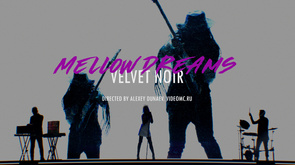 Velvet Noir